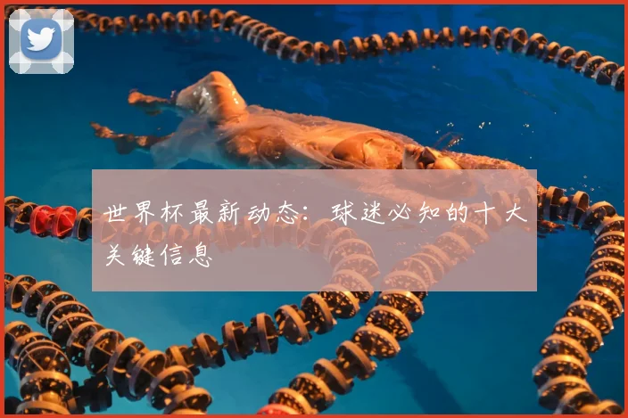 世界杯最新动态:球迷必知的十大关键信息